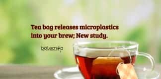 tea bag releases microplastics