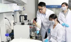 Green tea and cell therapies