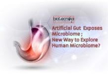 Artificial Guts : New Way to Explore Human Microbiome? Artificial gut exposes microbiome