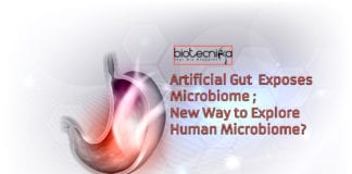 Artificial gut exposes microbiome