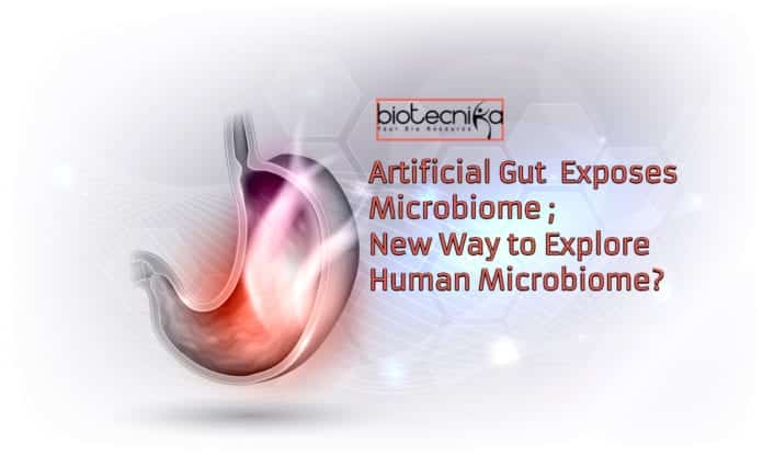 Artificial gut exposes microbiome