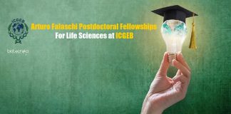 Arturo Falaschi Postdoctoral Fellowships