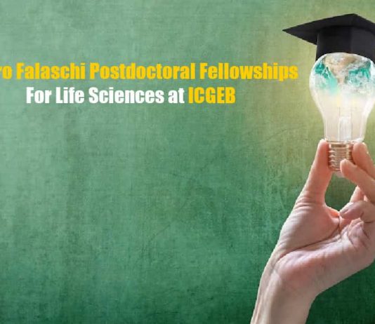 Arturo Falaschi Postdoctoral Fellowships