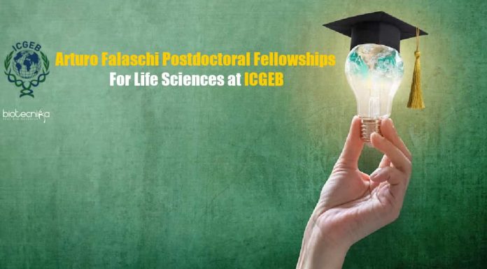 Arturo Falaschi Postdoctoral Fellowships