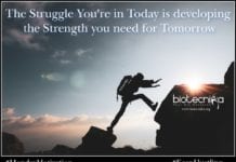 Biotecnika Times – Newsletter 28.10.2019 – Vector Control Research Centre Biotech Job