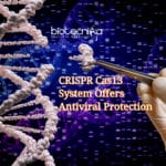 CRISPR Cas13