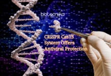 New CRISPR Cas13 Offers Powerful Antiviral Protection CRISPR Cas13