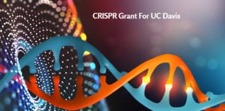 CRISPR Grant For UC Davis