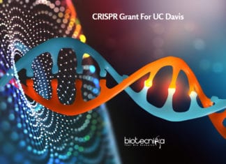 CRISPR Grant For UC Davis- To Develop Novel Drug For Cancer Treatment CRISPR Grant For UC Davis