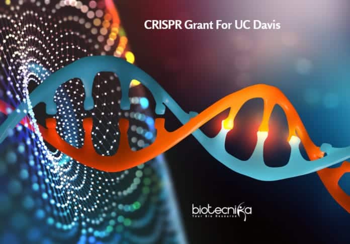 CRISPR Grant For UC Davis