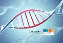 Camena Bioscience Develops A Breakthrough Technology gSynth – For Accurate Synthetic DNA Production Camena Bioscience Develops gSynth
