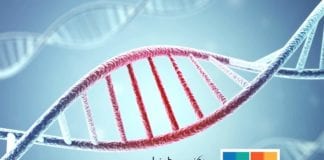 Camena Bioscience Develops gSynth