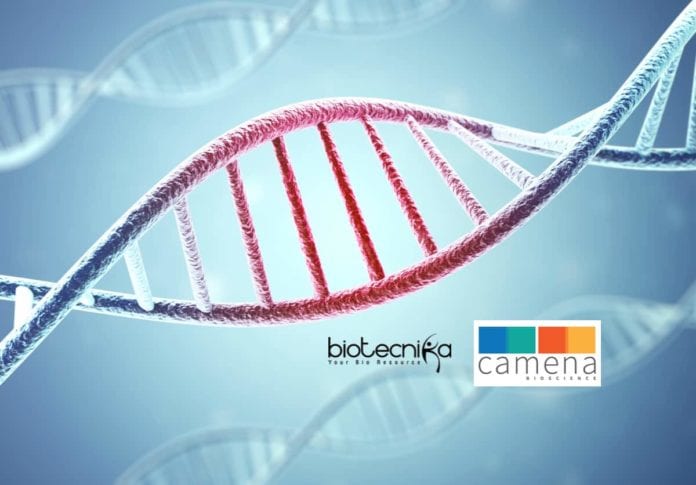 Camena Bioscience Develops gSynth