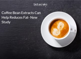 Coffee Bean Extracts Can Help Reduce Fat & Related Diseases! Coffee Reduces Fat