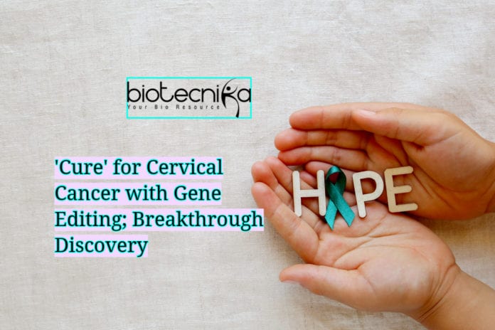 'Cure' for Cervical Cancer with Gene Editing- Breakthrough Discovery