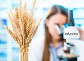 DBT Public Health, Food and Nutrition Division – R&D Proposals Invited DBT Public Health