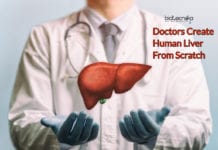 Doctors Create Human Liver From Scratch- After 5 Years Of Trials.