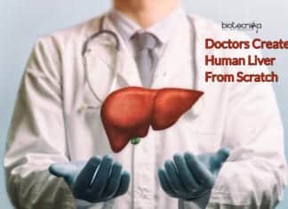 Doctors Create Human Liver From Scratch- After 5 Years Of Trials. Doctors Create Human Liver From Scratch- After 5 Years Of Trials.