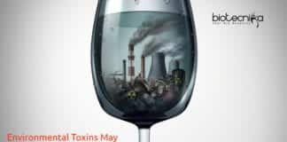 Environmental Toxins Impairs Immunity