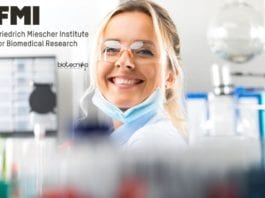 FMI International PhD Program