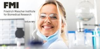 FMI International PhD Program