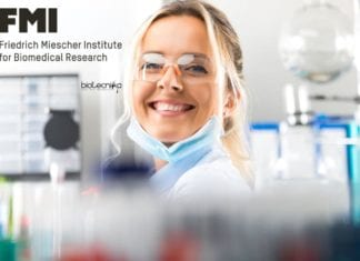 FMI International PhD Program