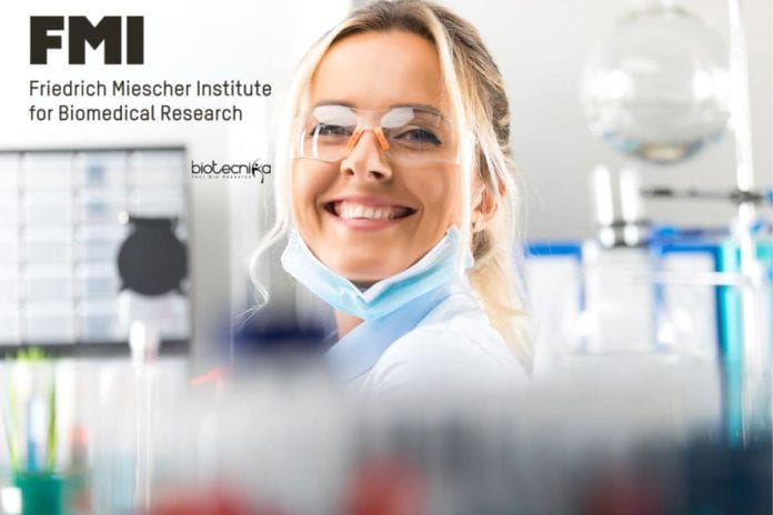 FMI International PhD Program