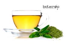 Researchers Use Green Tea As ‘Remote Control’ To Activate Diabetes Cell Therapies Green tea and cell therapies