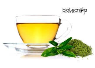 Researchers Use Green Tea As ‘Remote Control’ To Activate Diabetes Cell Therapies Green tea and cell therapies