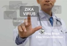 HIV Drug Stops Zika Virus Infection HIV Drug For Zika Infection