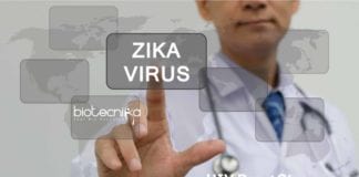 HIV Drug For Zika Infection