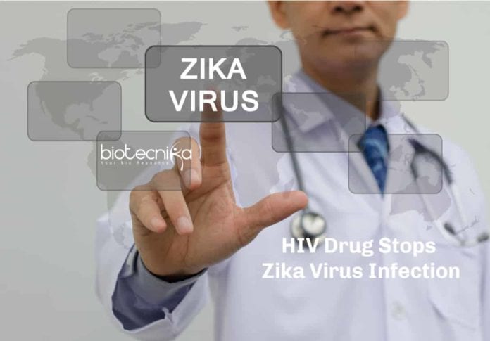 HIV Drug For Zika Infection