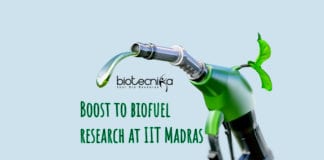IIT Biofuel research