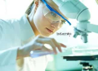 Indegene Latest BSc Jobs 2019 – Biotech & Microbiology Apply Indegene Latest BSc Jobs