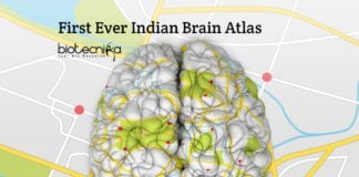 Indian Brain Atlas by IIIT