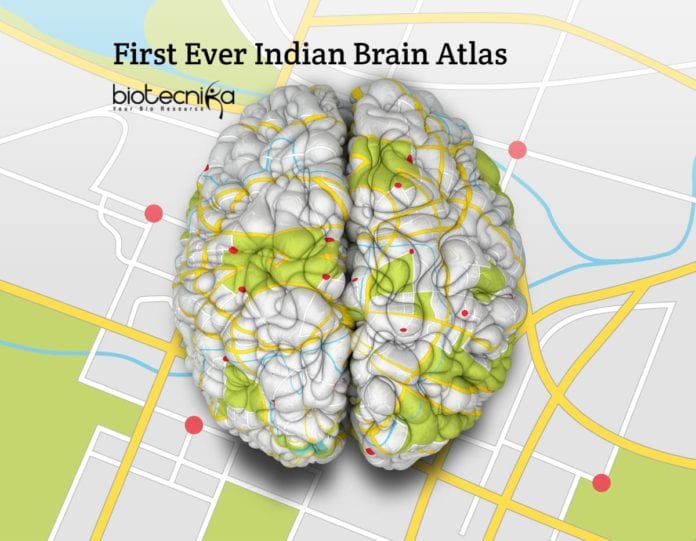 Indian Brain Atlas by IIIT