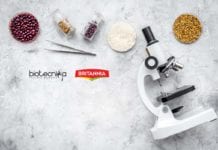 Latest Britannia Quality Officer Jobs for Food Technology Candidates Latest Britannia Quality Officer