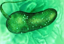 Scientists Visualize First 3D View Of Life’s Processes In Liquid 3D View of Life Processes