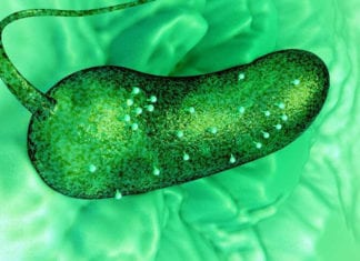 Scientists Visualize First 3D View Of Life’s Processes In Liquid 3D View of Life Processes