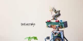 Machine Learning Approach for Plants