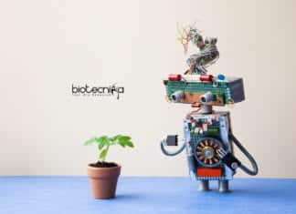 Machine Learning Approach for Plants