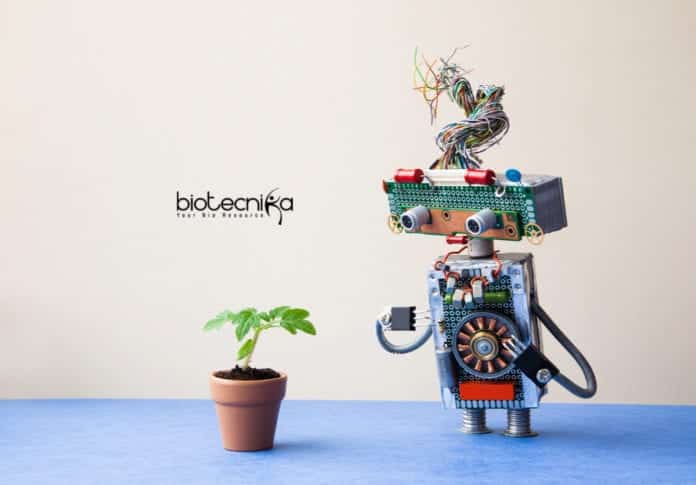Machine Learning Approach for Plants