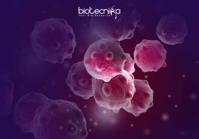 Method To Separate Tumor Tissues