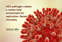 Multiplication of AIDS pathogens studied using High-Resolution Imaging