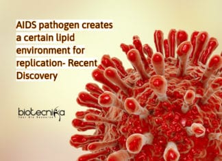 Scientists Find How AIDS Pathogens Multiply In Body Multiplication of AIDS pathogens studied using High-Resolution Imaging