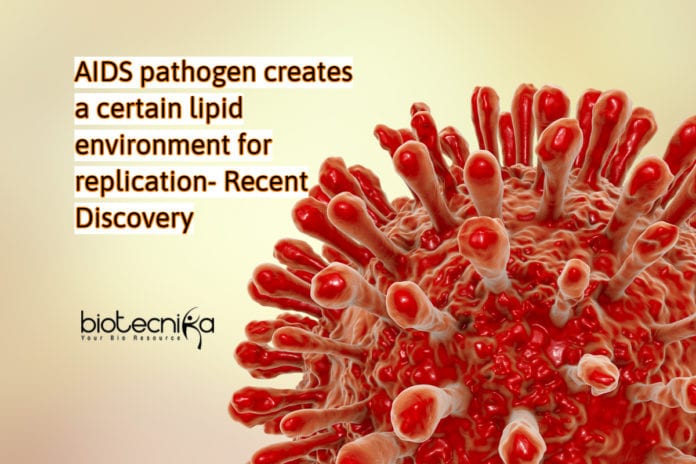 Multiplication of AIDS pathogens studied using High-Resolution Imaging
