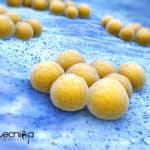 NEW ANTIBIOTIC RESISTANCE TEST