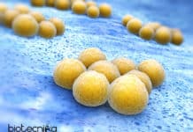 Antibiotic Resistance Detection ‘In Less Than 45 Minutes’ With This New Diagnostic Test NEW ANTIBIOTIC RESISTANCE TEST