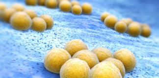 NEW ANTIBIOTIC RESISTANCE TEST