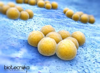 Antibiotic Resistance Detection ‘In Less Than 45 Minutes’ With This New Diagnostic Test NEW ANTIBIOTIC RESISTANCE TEST